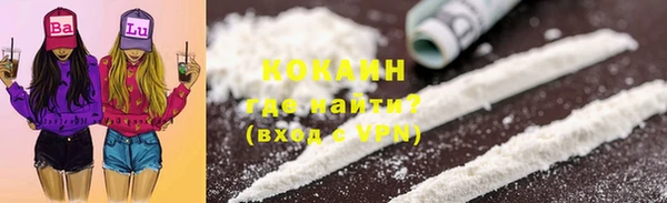 индика Волоколамск