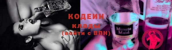 индика Волоколамск