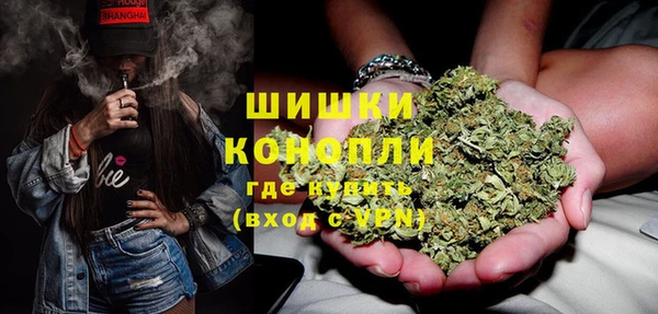 индика Волоколамск