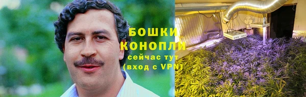 индика Волоколамск