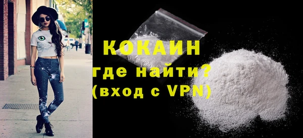 индика Волоколамск