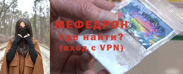 индика Волоколамск