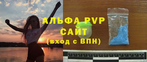 индика Волоколамск